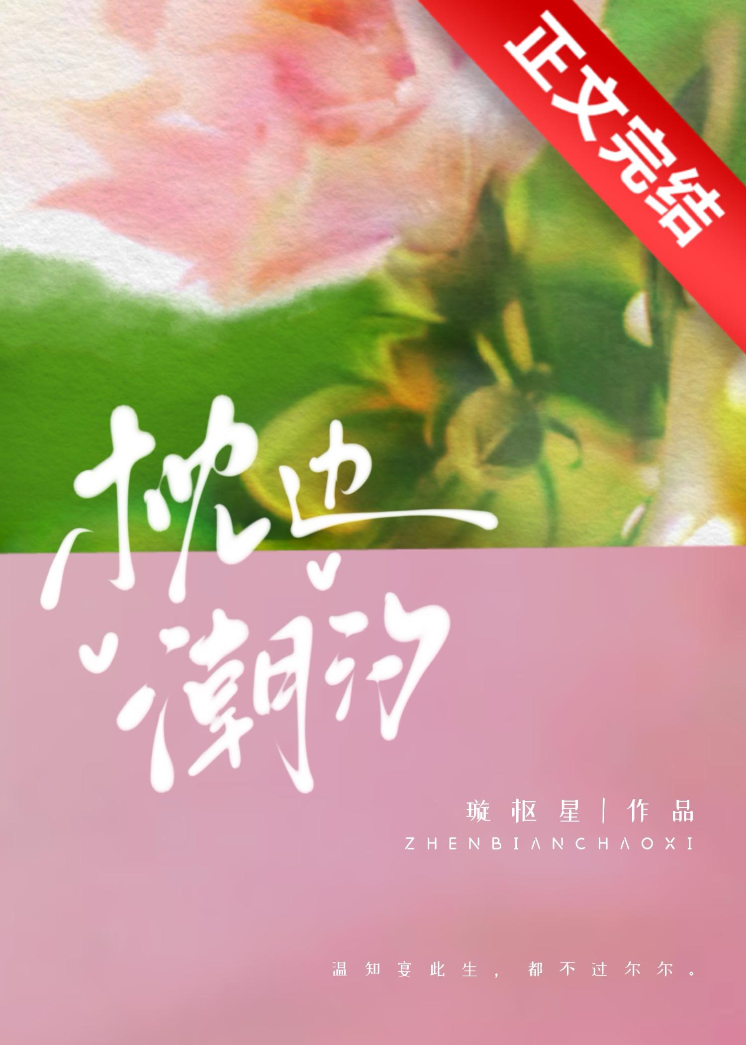 枕边潮汐封面