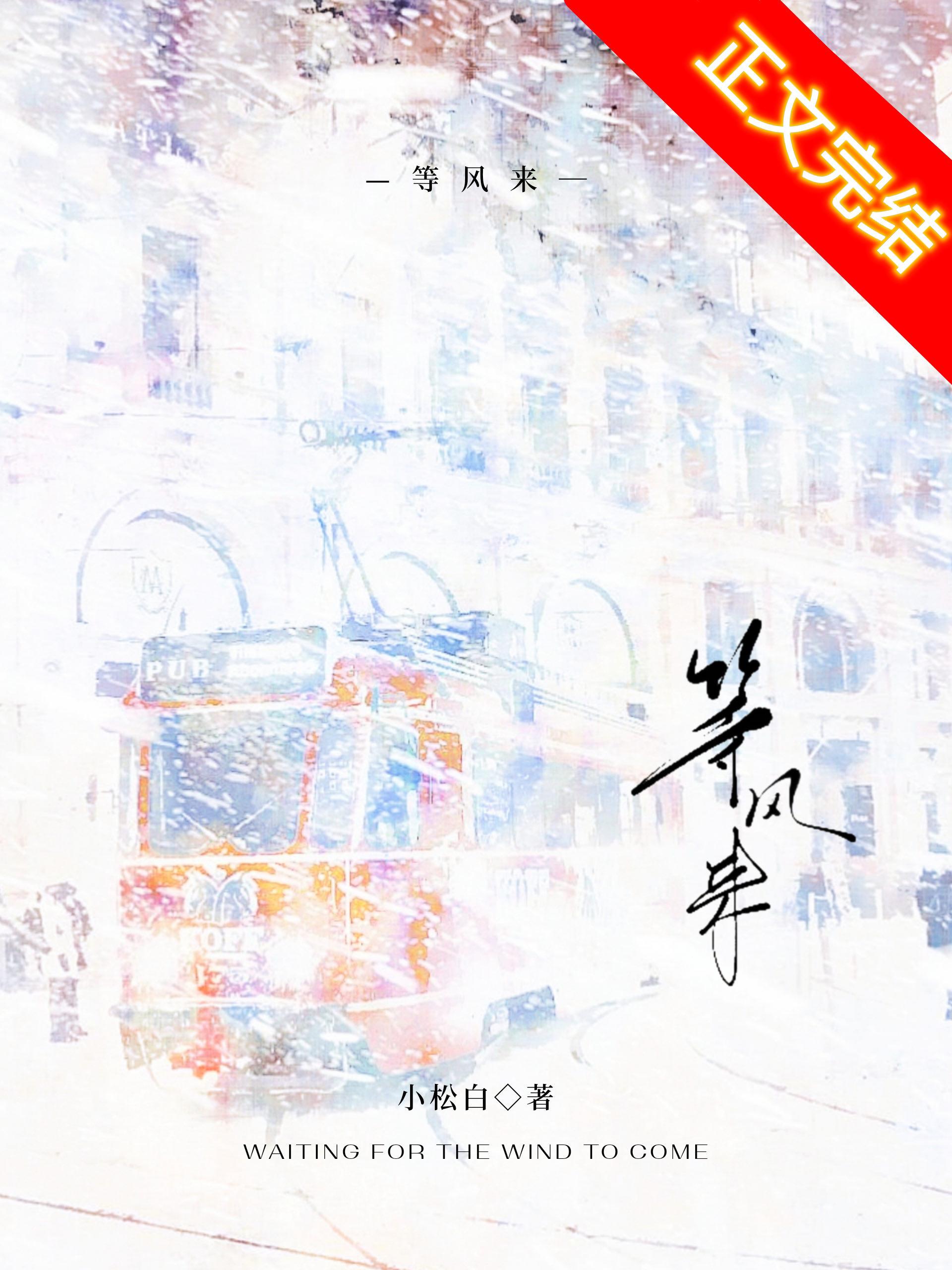 等风来封面