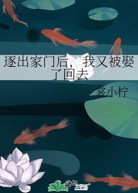 逐出家门后，我又被娶了回去封面