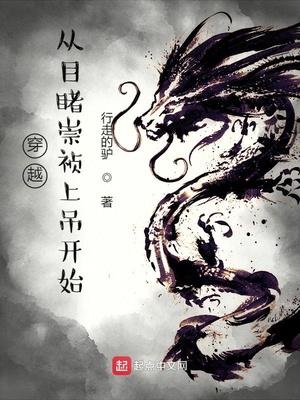穿越从目睹崇祯上吊开始封面