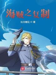 海贼之复制封面