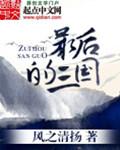 最后的三国封面