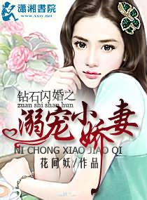 钻石闪婚之溺宠小娇妻封面