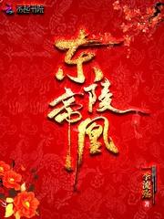 东陵帝凰封面