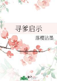 寻爹启示封面