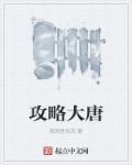 攻略大唐封面