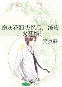 炮灰花瓶失忆后，渣攻！火葬场封面