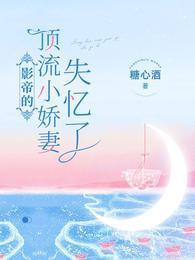 影帝的顶流小娇妻失忆了季念念宋清砚封面