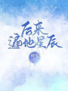 后来遍地星辰封面