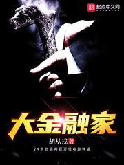 大金融家封面
