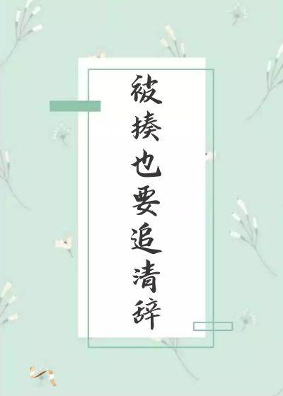 被揍也要追清辞封面