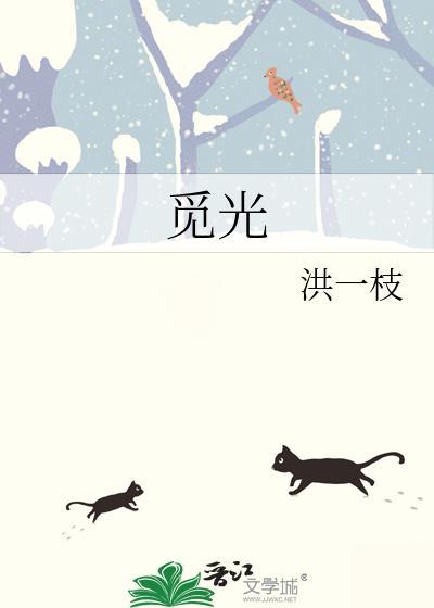 觅光封面