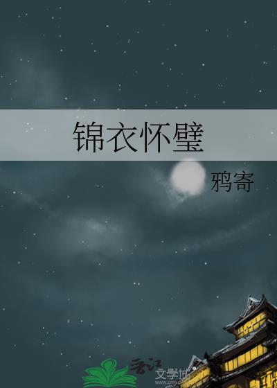锦衣怀璧封面