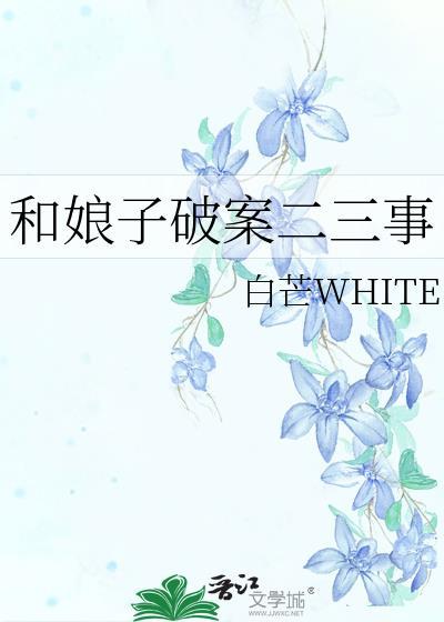 和娘子破案二三事封面