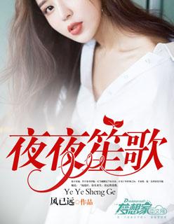 夜夜笙歌封面