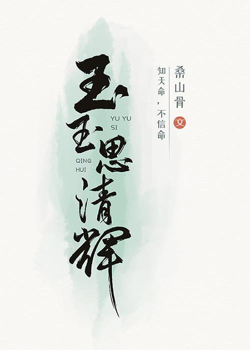 玉玉思清辉封面