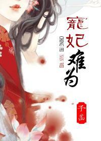 宠妃难为封面