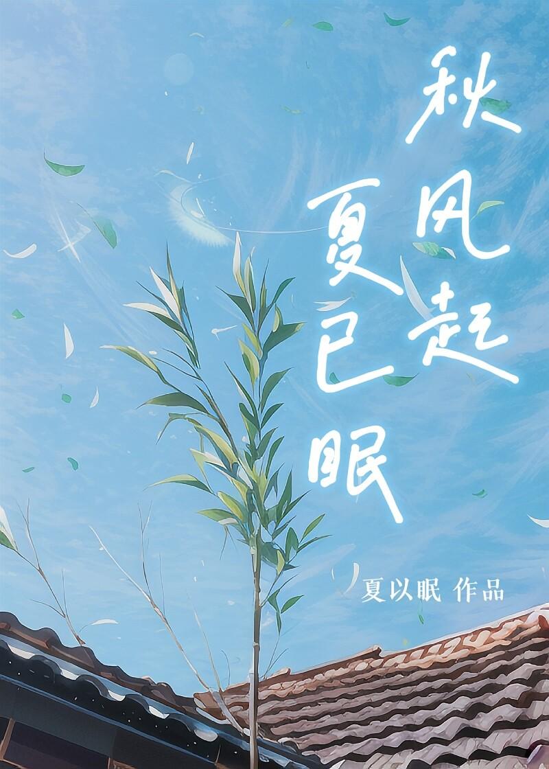 秋风起，夏已眠封面