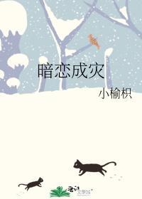 暗恋成灾封面