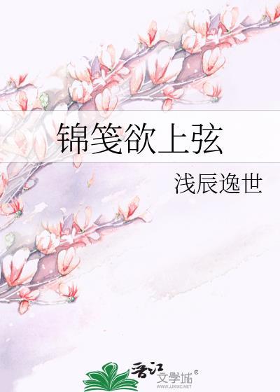 锦笺欲上弦封面