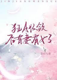 狂A收敛后有妻有女了封面