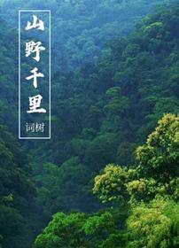 山野千裏封面