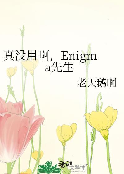 真没用啊，Enigma先生封面