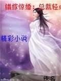 错嫁惊婚：总裁轻点爱封面