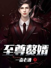 至尊赘婿封面