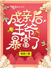 成亲后王爷暴富了封面