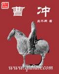 曹冲封面