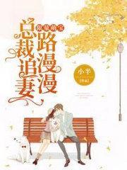 陆轻寒厉慕琛封面