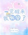 一觉醒来我怀孕了封面