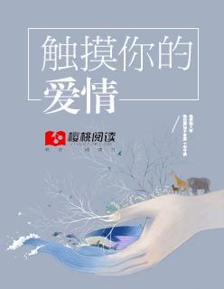触摸你的爱情封面