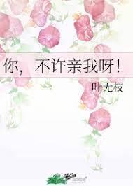 你，不许亲我呀！封面