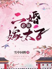 雁南归舒乘风封面