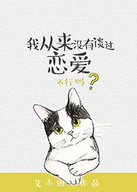 我从来没有谈过恋爱封面