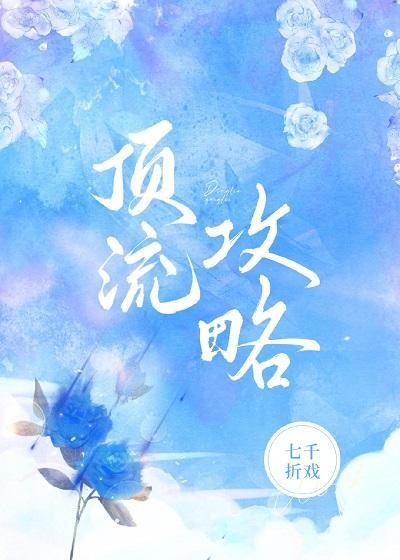 顶流攻略封面