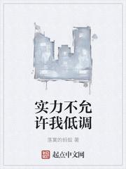 实力不允许我低调封面