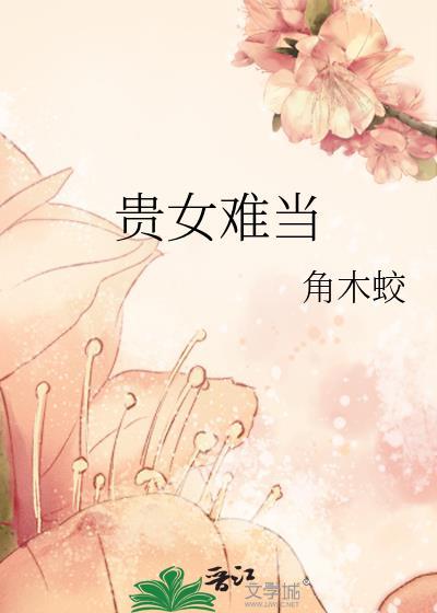 贵女难当封面
