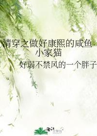 清穿之做好康熙的咸鱼小家猫封面