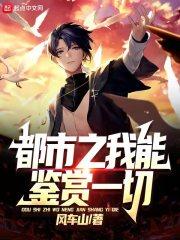 都市之我能鉴赏一切封面