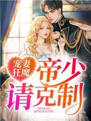 宠妻狂魔，帝少请克制封面