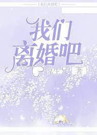 我们离婚吧封面