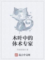 木叶中的体术专家封面