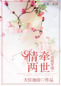 情牵两世封面