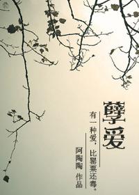 沈初云陆进封面