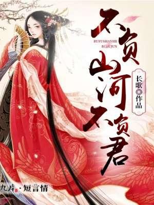 不负山河不负君封面