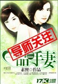 一品二手妻封面