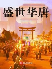 盛世华唐封面